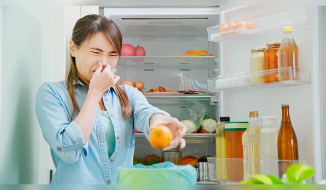 Una esponja seca puede evitar moho y malos olores en la refrigeradora.