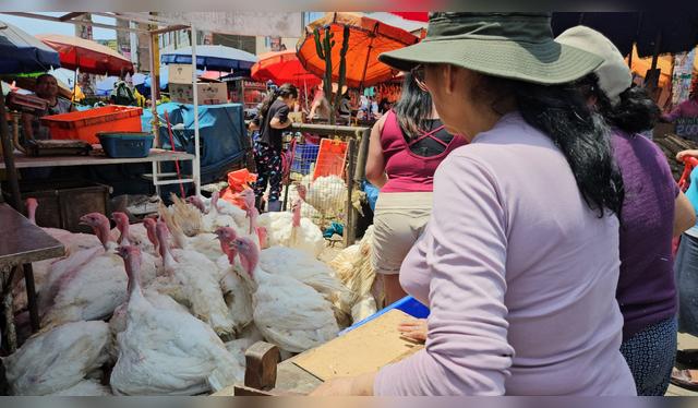 Ahora se puede adquirir el pavo en cuotas a largo plazo.   