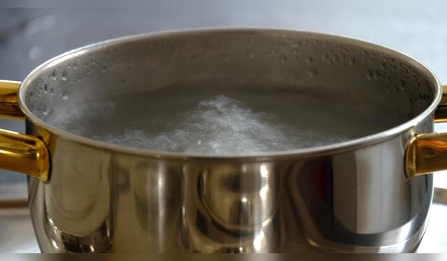 El agua caliente te ayudará a eliminar las moscas.   