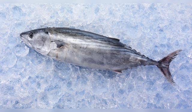  El bonito es ideal para acompañarlo con una leche de tigre nikkei.    