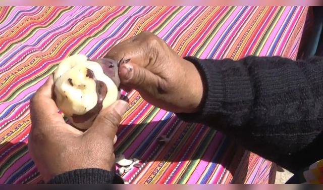 Según la tradición, pelar correctamente esta papa demostraba habilidades para el hogar y podía definir la aprobación de la suegra para el matrimonio. Foto: Andina Según la tradición, pelar correctamente esta papa demostraba habilidades para el hogar y podía definir la aprobación de la suegra para el matrimonio. Foto: Andina
