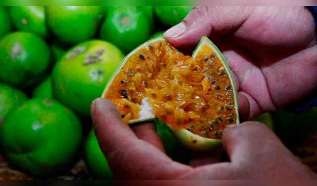 El tumbo, ideal para preparar siwichi ancestral, se consigue en mercados y debe elegirse firme, de color amarillo pálido y con aroma ácido natural. Foto: Perú.info  