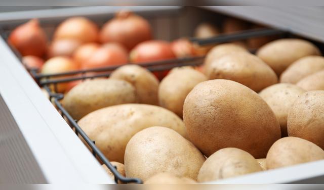 Para evitar que las papas broten, guárdalas en un lugar fresco, seco y oscuro, siempre separadas de las cebollas. Foto: Envato  