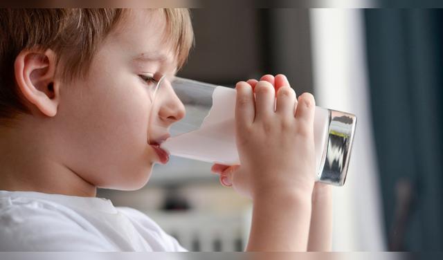 Un estudio sugiere que el consumo de lácteos enteros podría asociarse con menor riesgo cardiovascular, aunque debe equilibrarse con una dieta saludable. Foto: Envato  