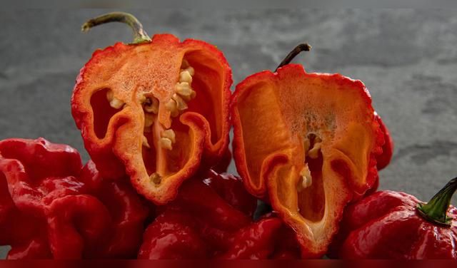 Para potenciar la salsa de rocoto, mézclala con cebolla, vinagre, sal y un chorrito de aceite, y déjala reposar antes de servir. Foto: Envato  