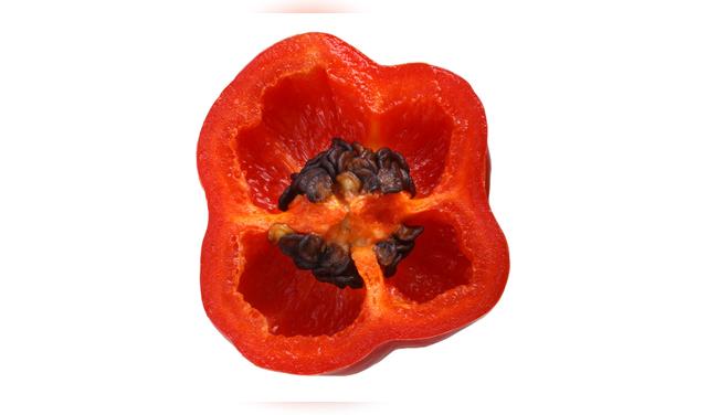 El color de las semillas del rocoto permite identificar su nivel de picante: las marrones indican un picor moderado y las negras, uno más intenso. Foto: Envato  
