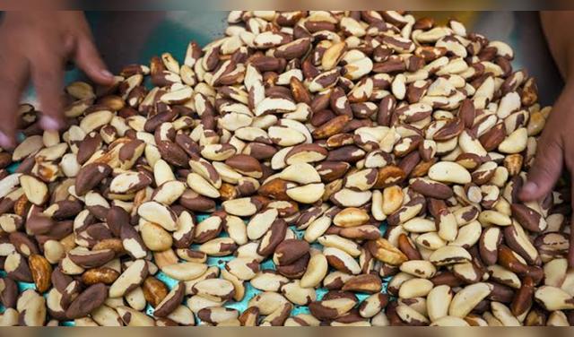 La castaña amazónica puede disfrutarse como snack, en ensaladas, postres, entre otros. Foto: AgroPerú La castaña amazónica puede disfrutarse como snack, en ensaladas, postres, entre otros. Foto: AgroPerú