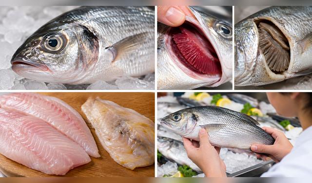 Observa que el pescado tenga ojos claros, branquias rojizas y carne firme, sin manchas extrañas, mal olor ni viscosidad. Foto: IA  