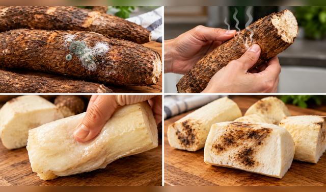 Revisa la yuca antes de cocinarla y descártala si presenta moho, mal olor, textura blanda o manchas oscuras extensas.  