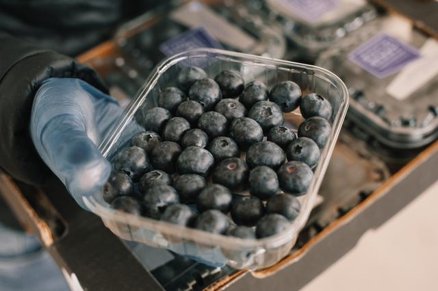 El precio de los arándanos incrementaron en el mercado internacional. El precio de los arándanos incrementaron en el mercado internacional.