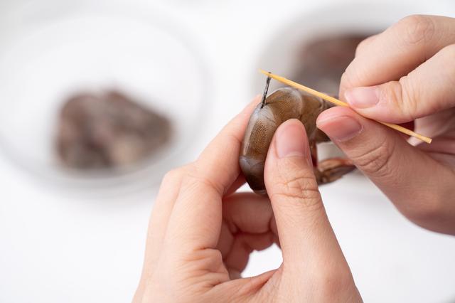 No hay ningún riesgo para la salud    