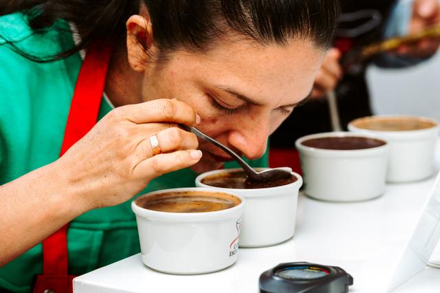 Puma café es seleccionado por expertos catadores que garantizan los más altos estándares de calidad. Puma café es seleccionado por expertos catadores que garantizan los más altos estándares de calidad.