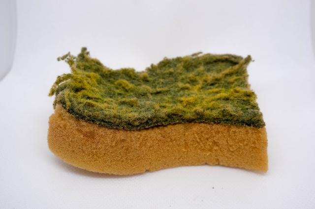 Cambia de esponja si tiene las fibras separadas, está muy blanda y o tiene un olor desagradable.   