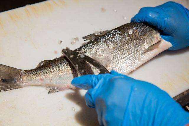 Recuerda cocinar y luego sazonar para tener un mejor sabor y textura del pescado.   