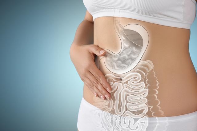 El consumo de lentejas mejora la salud intestinal. El consumo de lentejas mejora la salud intestinal.