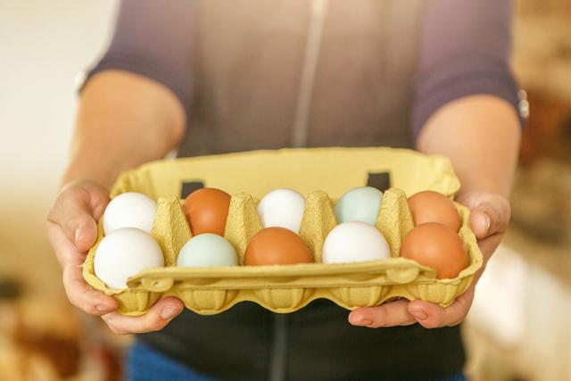 La entrega de huevos se realizará este 18 de marzo en “Promesa Commons”, Fresno, California. La entrega de huevos se realizará este 18 de marzo en “Promesa Commons”, Fresno, California.