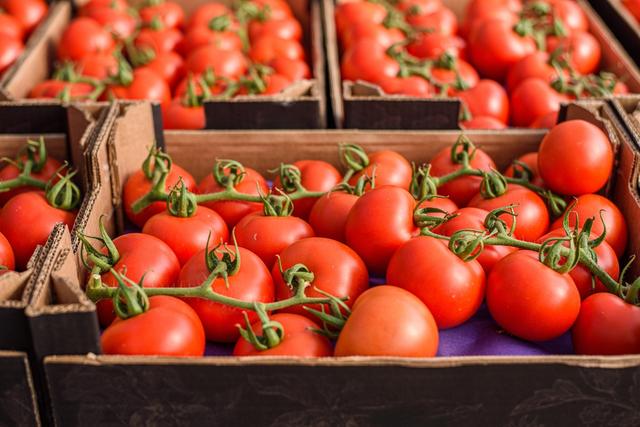Guarda los tomates en un espacio seco y protegido de la luz.    