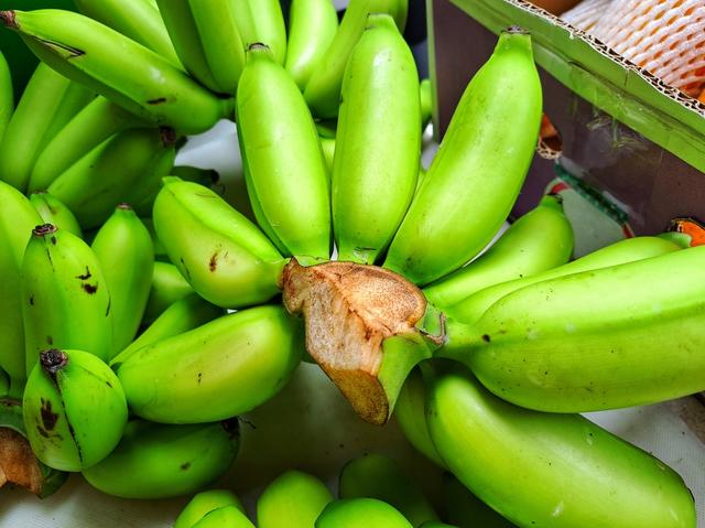 Además, el especialista menciona que el plátano verde ayuda a prevenir la diabetes, la obesidad y el colesterol elevado.   