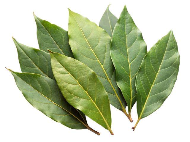 Colocar laurel en los envases de los alimentos ayuda a ahuyentar a los gorgojos.   