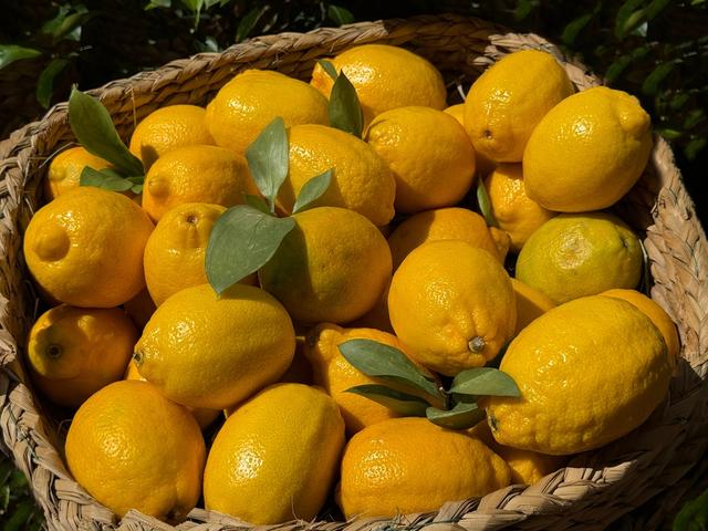 El precio de los limones ha caído un 39,6%.   