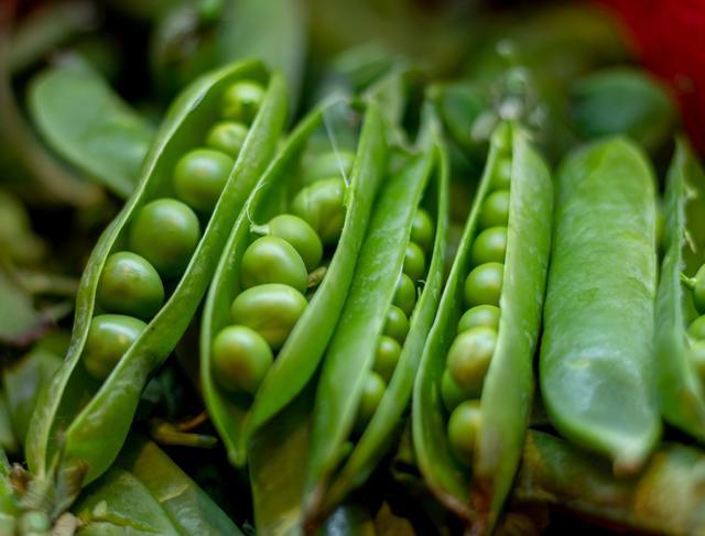 Los guisantes tienen poca cantidad de carbohidratos.   