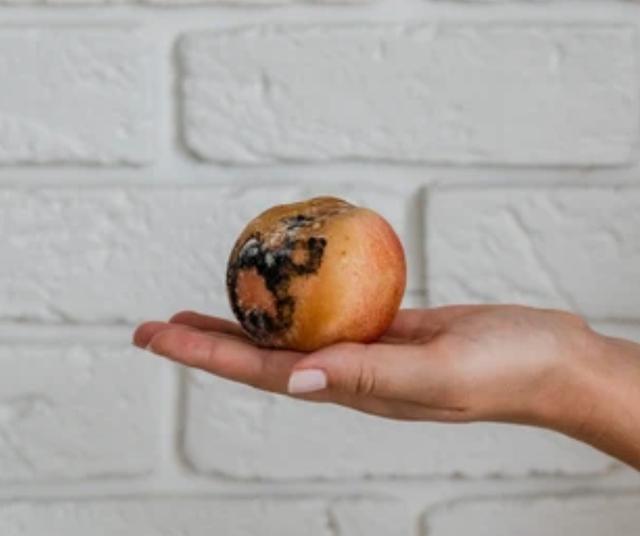 Lo mejor es desechar la fruta con moho.   