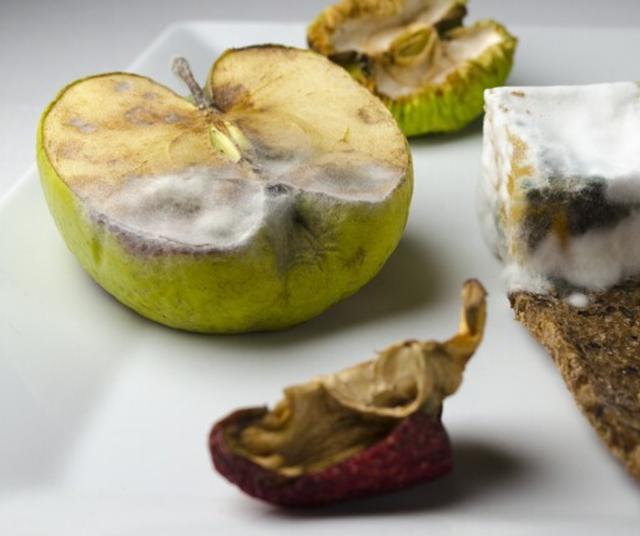 El moho aparece con mayor rapidez en ambientes húmedos.   