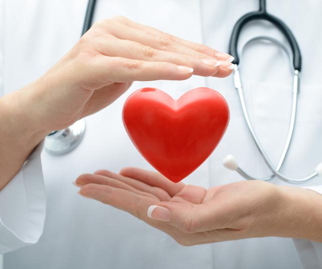 Favorece la salud cardiovascular.   