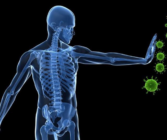 Fortalece el sistema inmune   