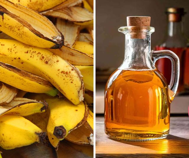 Fertilizante casero para las plantas. Fertilizante casero para las plantas.