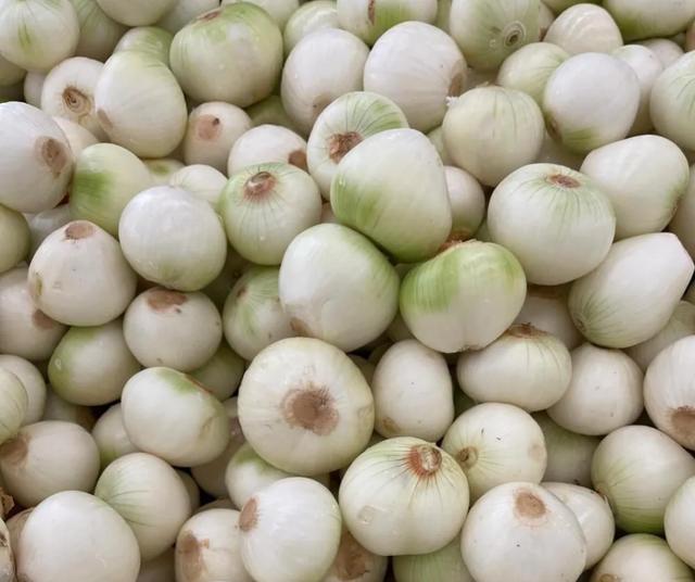 Cebolla blanca. Cebolla blanca.