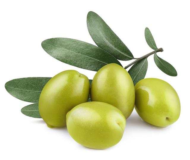 Las aceitunas son un producto milenario, que primero sirvió como combustible, y luego como alimento.    