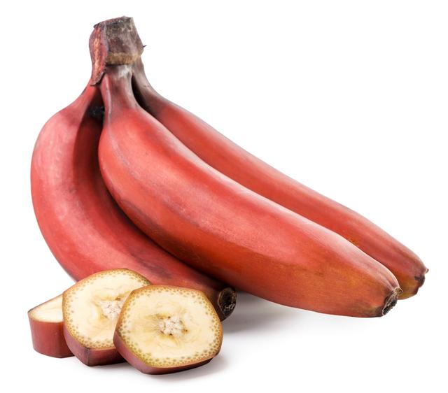  Almacena el<a rel="noreferrer noopener" href="https://buenazo.pe/recetas/desayunos/panqueques-platano-receta-408" target="_blank"><strong> plátano</strong></a> rojo a temperatura ambiente y si no quieres que madure muy rápido evita guardarlo al lado de otras frutas como <a rel="noreferrer noopener" href="https://buenazo.pe/recetas/dulces-y-postres/crocante-manzanas-receta-paso-paso-989" target="_blank"><strong>manzana</strong></a>, <a rel="noreferrer noopener" href="https://buenazo.pe/recetas/recetas-saludables/jugo-fresa-papaya-camu-camu-1079" target="_blank"><strong>papaya</strong></a>, <a rel="noreferrer noopener" href="https://buenazo.pe/recetas/cocteles-y-bebidas/batido-mango-avena-566" target="_blank"><strong>mango</strong></a>, pera y <a rel="noreferrer noopener" href="https://buenazo.pe/recetas/pescados-y-mariscos/ceviche-apaltado-atun-receta-619" target="_blank"><strong>palta</strong></a>.    