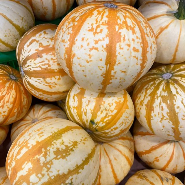 La calabaza tigre se puede usar tanto para decoración como para recetas.   