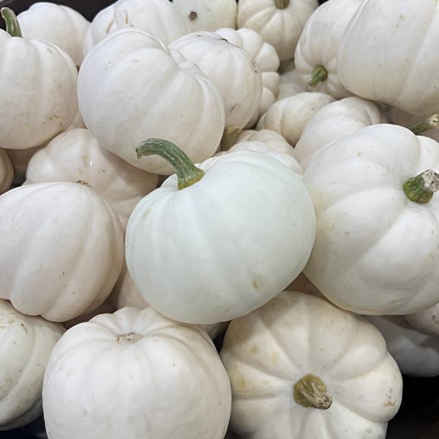 La mini calabaza, con su aspecto "fantasmal", es perfecta para la decoración de Halloween.   