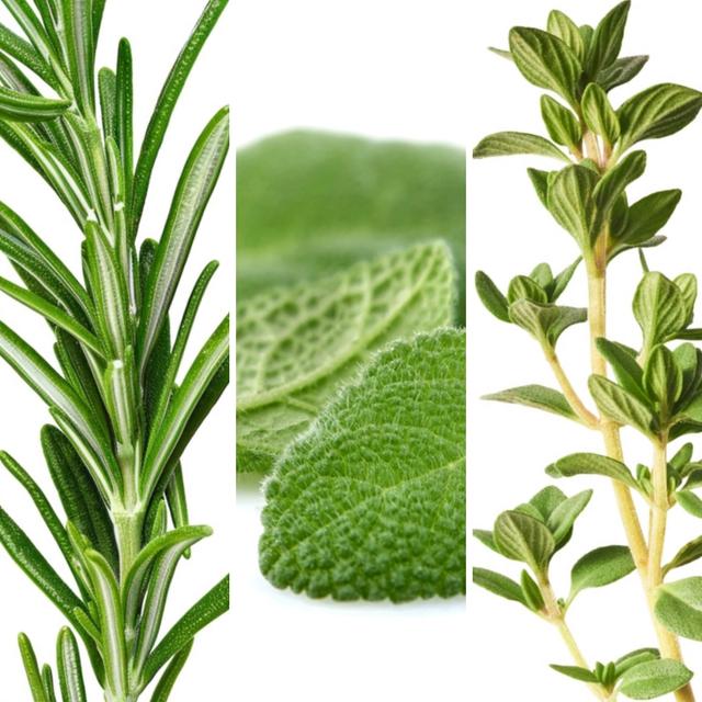 En la receta norteamericana, las hierbas aromáticas le confieren ese sabor único al pavo. En la receta norteamericana, las hierbas aromáticas le confieren ese sabor único al pavo.