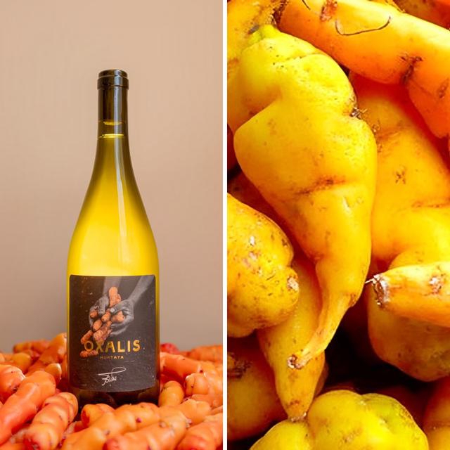 Oxalis se sirve en restaurantes de lujo como Central y Maido. Oxalis se sirve en restaurantes de lujo como Central y Maido.