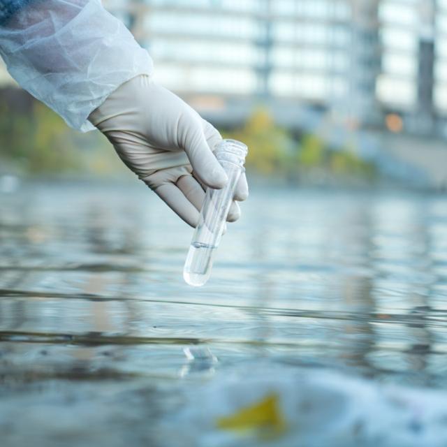 El mercurio en el mar es causado por el vertido de desechos tóxicos. El mercurio en el mar es causado por el vertido de desechos tóxicos.