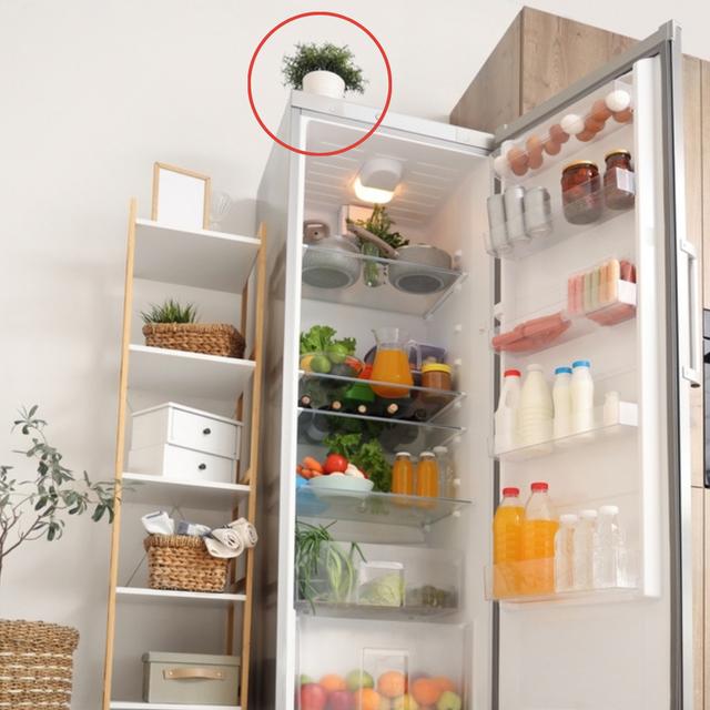 Colocar objetos sobre la refrigeradora puede causar accidentes.   