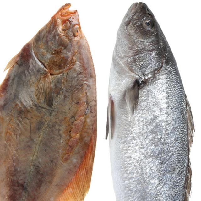 Pescado platija y corvina se pueden usar para hacer ceviche en Estados Unidos.   