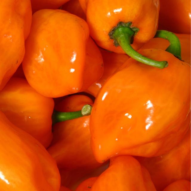 El chile habanero puede reemplazar el picor del rocoto. El chile habanero puede reemplazar el picor del rocoto.