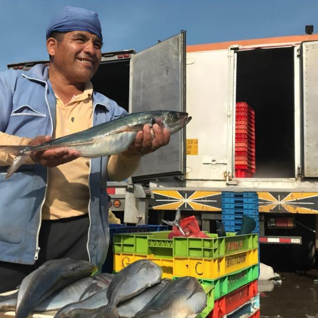 Pescados a precios bajos en la Municipalidad de la Molina.   