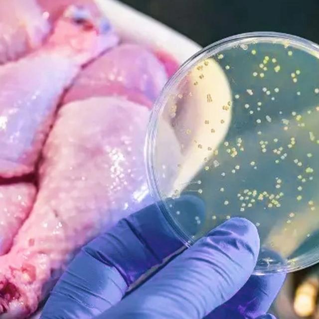 La salmonela puede estar presente en alimentos mal cocidos o contaminados.   