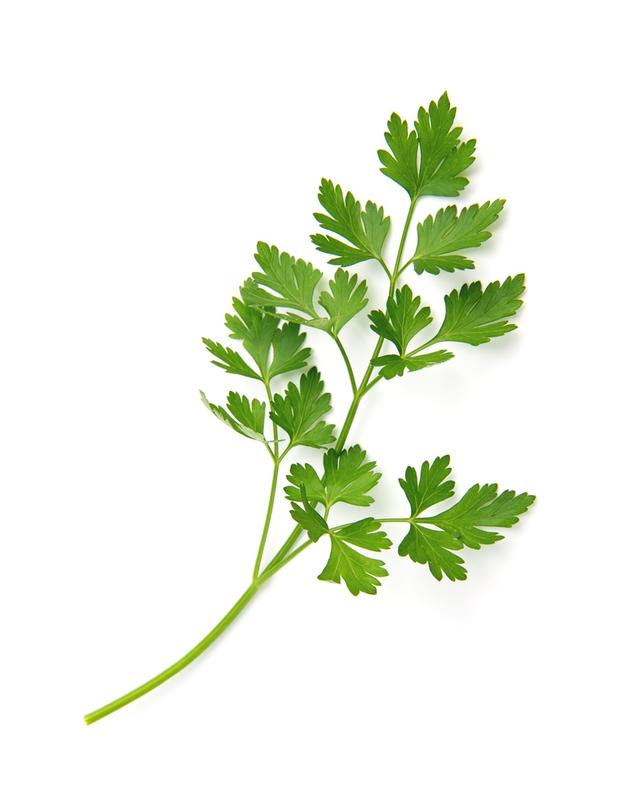 El perejil contiene vitamina A,C,K y B9.   