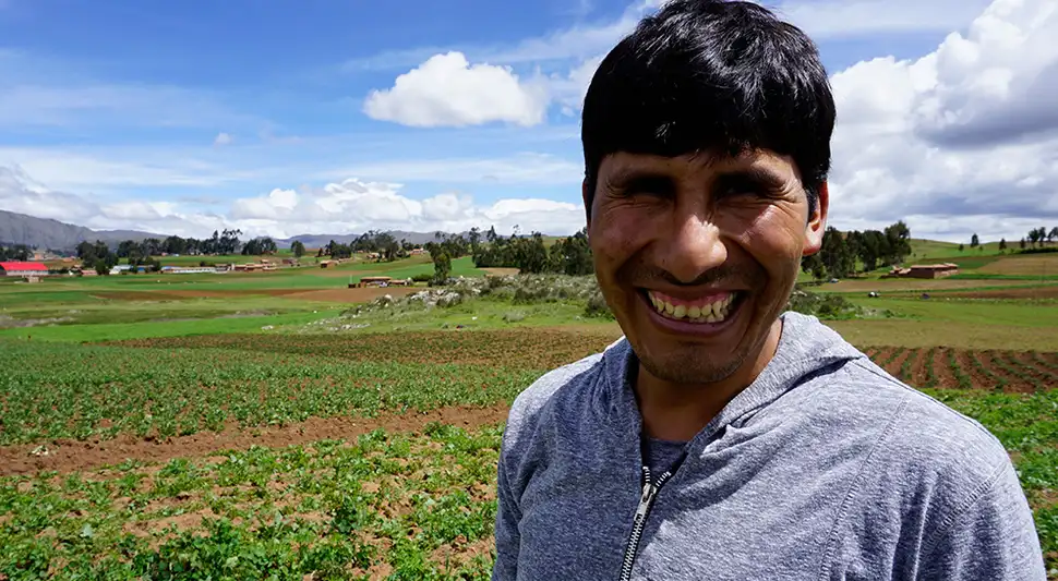 Manual Choqque Bravo