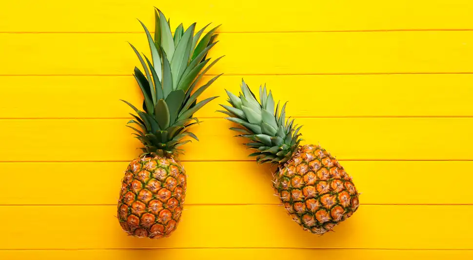 abridora piña golden