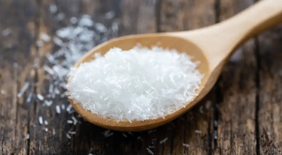 glutamato monosodico glutamato monosodico