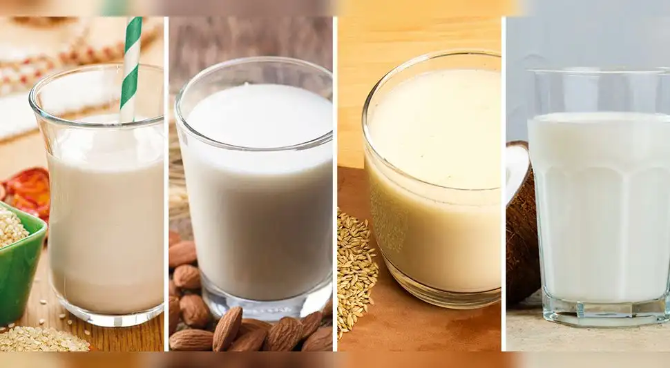 leches veganas leches veganas