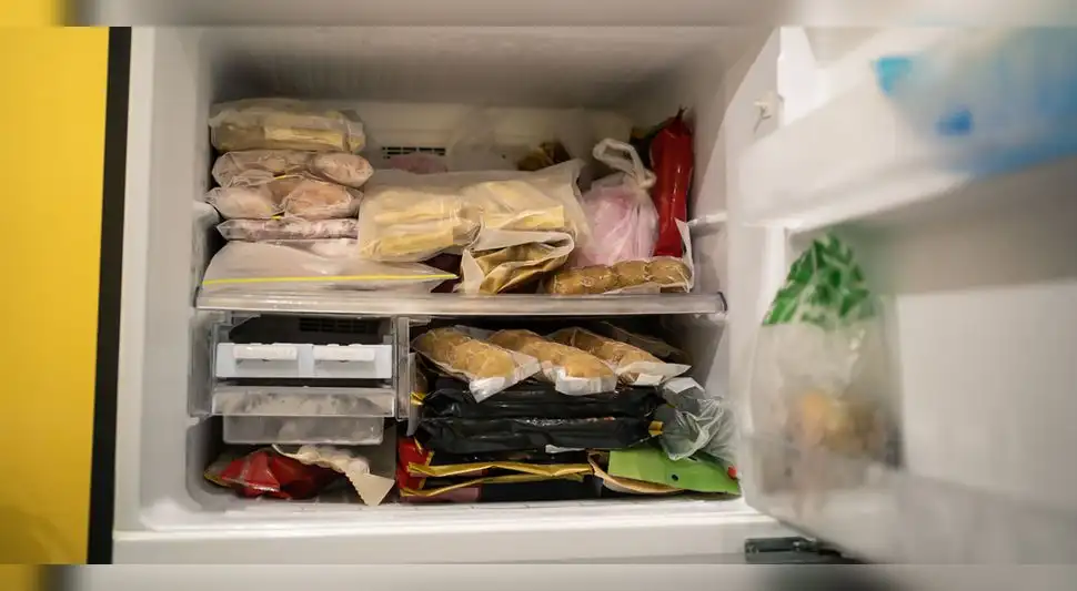 comida congelada comida congelada