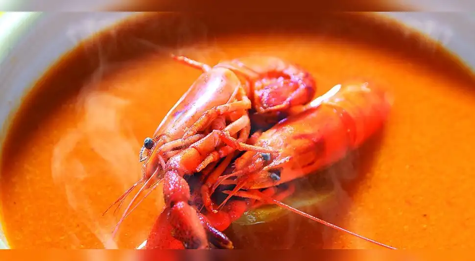 Concentrado de camarones